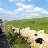 2306G 080 Minden-Bremerhaven